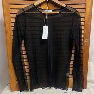 Anistar Black Sheer Long Sleeve Top